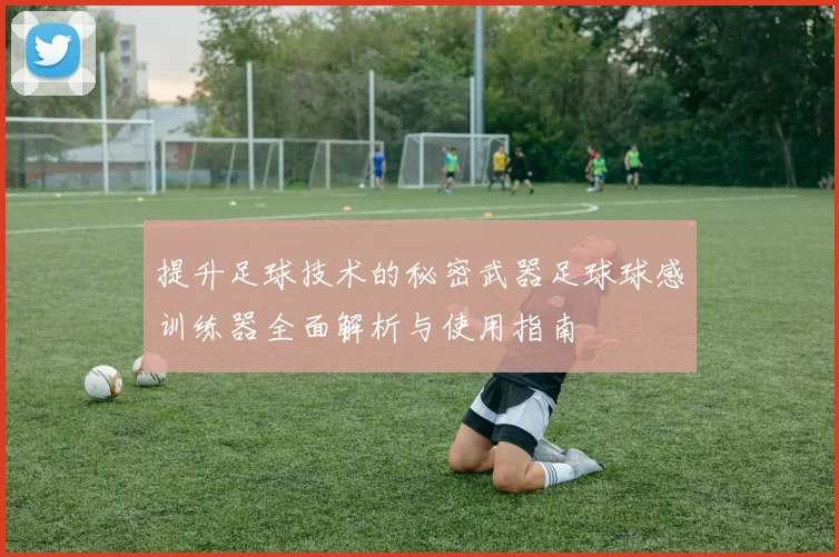 提升足球技术的秘密武器足球球感训练器全面解析与使用指南