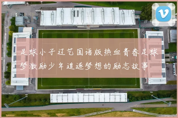 足球小子辽艺国语版热血青春足球梦激励少年追逐梦想的励志故事