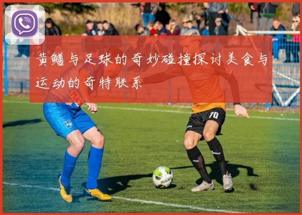 黄鳝与足球的奇妙碰撞探讨美食与运动的奇特联系